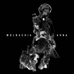 Ahna : Wolbachia - Ahna